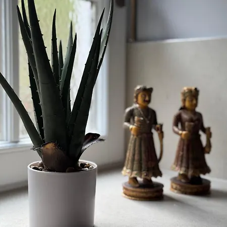Liva Living, Lifestyle Mit Berg- & Seeblick Appartement Sankt Gilgen